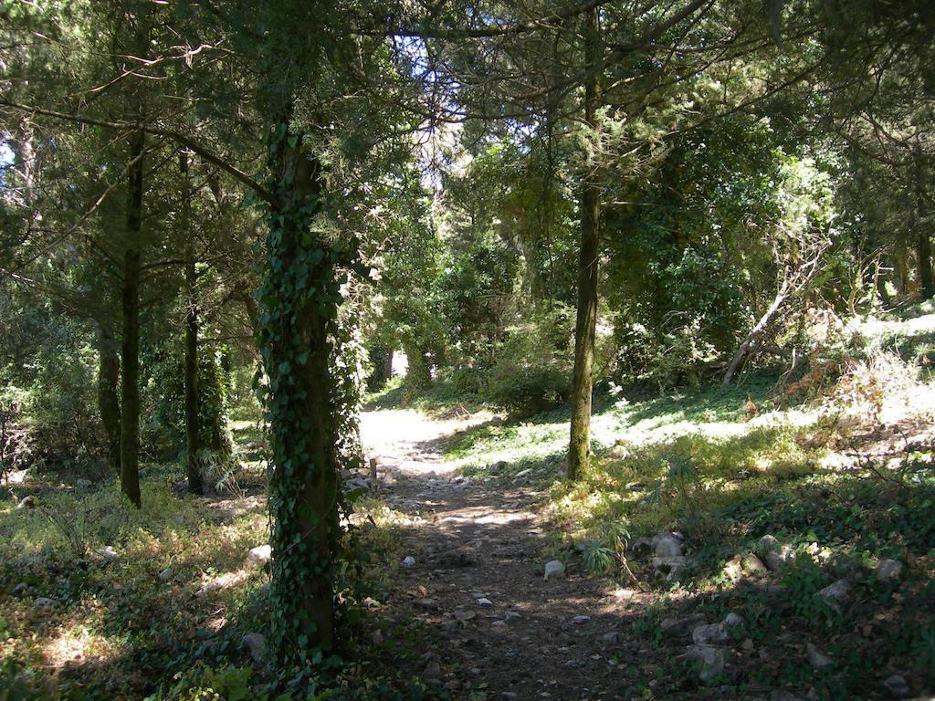 Ostello Cielo D'Alcamo Zewnętrze zdjęcie